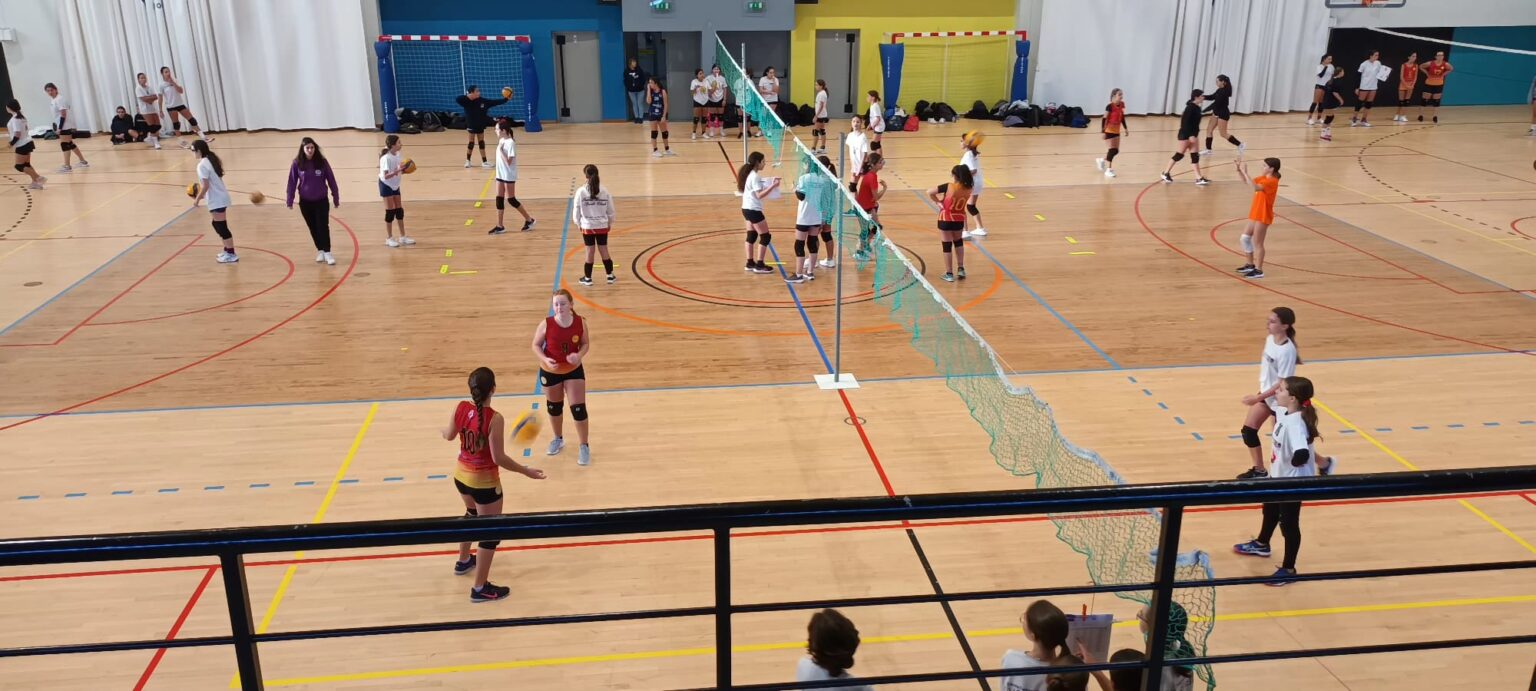 Minis CDM