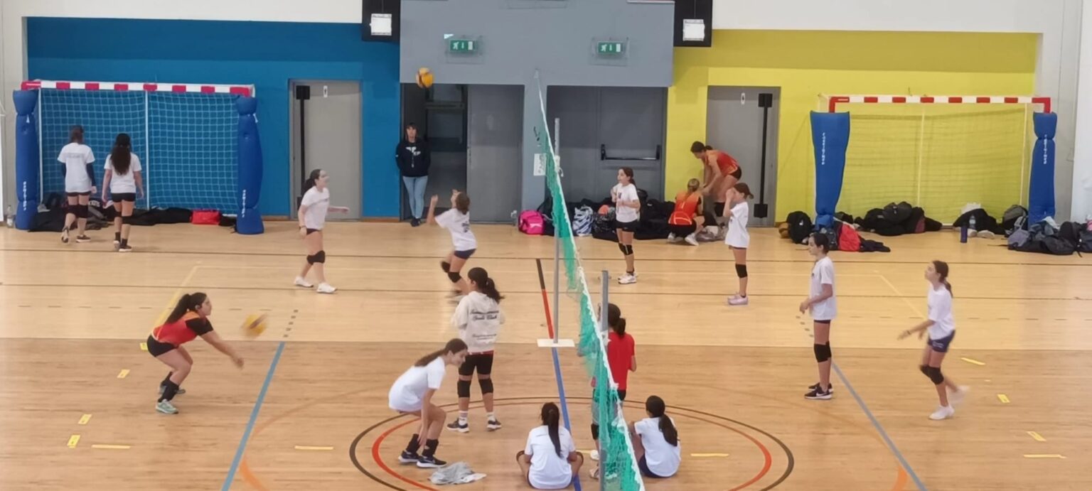 Minis CDM